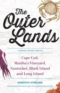Book Cover for The Outer Lands by Dorothy Sterling, Robert Finch