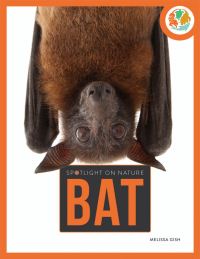 Book Cover for Bat-Spotlight by Melissa Gish