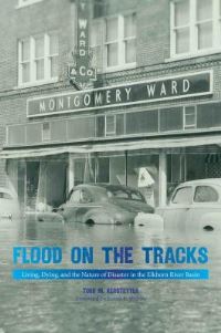 Book Cover for Flood on the Tracks by Todd M Kerstetter