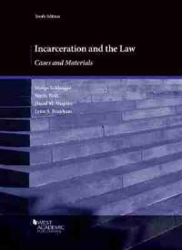 Book Cover for Incarceration and the Law by Lynn S Branham, Margo Schlanger, Sheila A Bedi, David M Shapiro