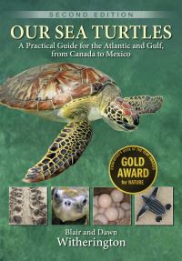 Book Cover for Our Sea Turtles by Blair E Witherington, Dawn Witherington