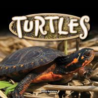 Book Cover for Turtles by Darla Duhaime