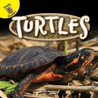 Book Cover for Turtles by Darla Duhaime