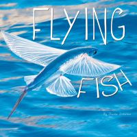 Book Cover for Flying Fish by Darla Duhaime