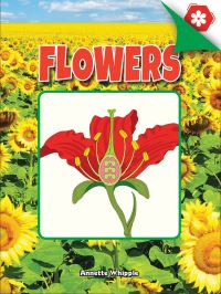 Book Cover for Flowers by Annette Whipple