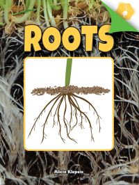 Book Cover for Roots by Alicia Klepeis