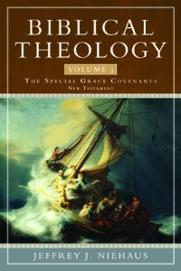 Book Cover for Biblical Theology, Volume 3 by Jeffrey J Niehaus