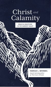 Book Cover for Christ and Calamity by Harold L Senkbeil