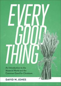 Book Cover for Every Good Thing by David W Jones