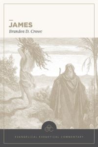 Book Cover for James by Brandon D Crowe