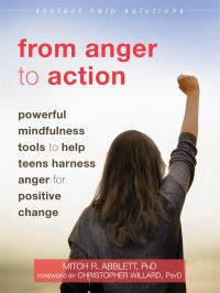 Book Cover for From Anger to Action by Mitch Abblett