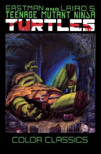 Book Cover for Teenage Mutant Ninja Turtles Color Classics. Vol. 3 by Kevin B Eastman, Peter Laird, Mark Martin