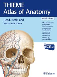 Book Cover for Thieme Atlas of Anatomy. Head, Neck, and Neuroanatomy by Michael Schuenke, Erik Schulte, Udo Schumacher