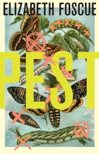 Book Cover for Pest by Elizabeth Foscue