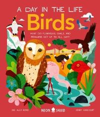 Book Cover for Birds by Alex Bond