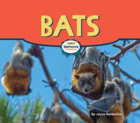 Book Cover for Bats by Joyce L Markovics
