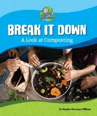Book Cover for Break It Down by Heather DiLorenzo Williams