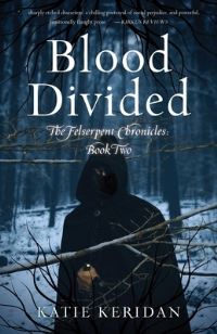 Book Cover for Blood Divided by Katie Keridan
