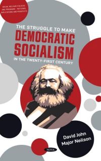 Book Cover for The Struggle to Make Democratic Socialism in the Twenty-First Century by David Neilson