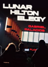 Book Cover for Lunar Hilton Elegy by Gabriel Palacios
