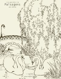 Book Cover for Livro Para Colorir De Paisagens Para Adultos by Nick Snels