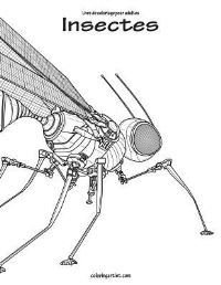 Book Cover for Livre De Coloriage Pour Adultes Insectes 2 by Nick Snels