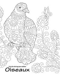 Book Cover for Livre De Coloriage Pour Adultes Oiseaux 2 by Nick Snels
