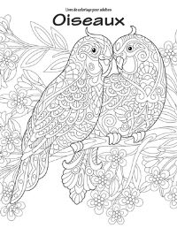 Book Cover for Livre De Coloriage Pour Adultes Oiseaux 1 & 2 by Nick Snels