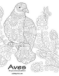Book Cover for Aves Libro Para Colorear Para Adultos 2 by Nick Snels