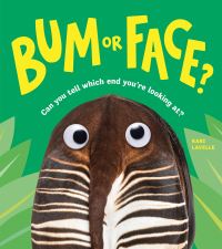 Book Cover for Bum or Face by Kari Lavelle