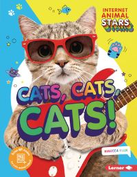 Book Cover for Cats, Cats, Cats! by Rebecca Felix