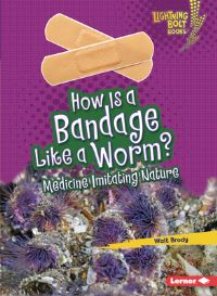 Book Cover for How Is a Bandage Like a Worm? by Walt Brody