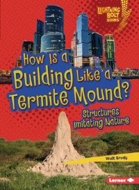 Book Cover for How Is a Building Like a Termite Mound? by Walt Brody