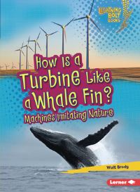 Book Cover for How Is a Turbine Like a Whale Fin? by Walt Brody