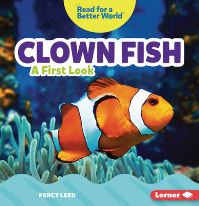 Book Cover for Clown Fish by Percy Leed