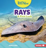 Book Cover for Rays by Percy Leed