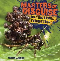 Book Cover for Masters of Disguise by Rebecca L Johnson