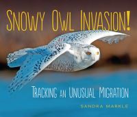 Book Cover for Snowy Owl Invasion! by Sandra Markle