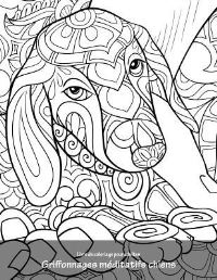 Book Cover for Livre De Coloriage Pour Adultes Griffonnages Méditatifs Chiens 1 by Nick Snels