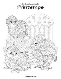 Book Cover for Livre De Coloriage Pour Adultes Printemps 1 by Nick Snels