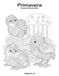 Book Cover for Primavera Libro Para Colorear Para Adultos 1 by Nick Snels