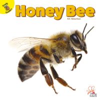 Book Cover for Honey Bee by RE Robertson