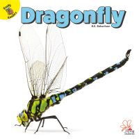 Book Cover for Dragonfly by J  Jean Robertson