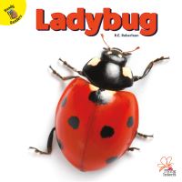 Book Cover for Ladybug by J  Jean Robertson