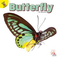 Book Cover for Butterfly by J  Jean Robertson