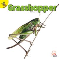 Book Cover for Grasshopper by J  Jean Robertson