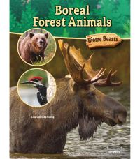 Book Cover for Boreal Forest Animals by Lisa Cocca