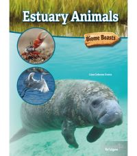 Book Cover for Estuary Animals by Lisa Colozza Cocca