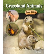 Book Cover for Grassland Animals by Lisa Colozza Cocca