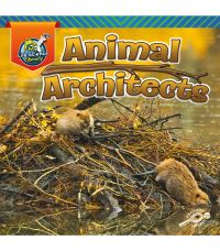 Book Cover for Animal Architects by Lisa Amstutz